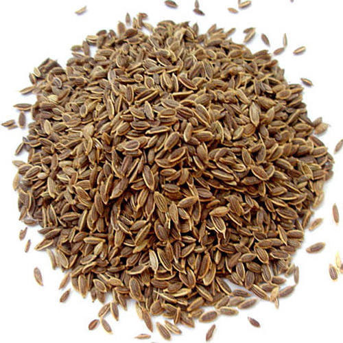 verified dill seeds manufacturer in Lucknow
