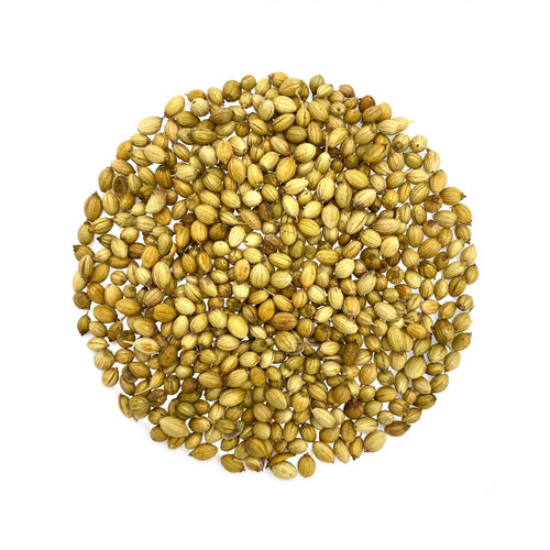 coriander seed products manufacturer