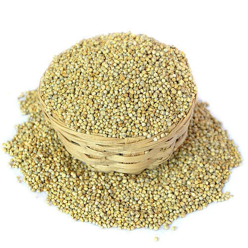 verified millet seeds exporter