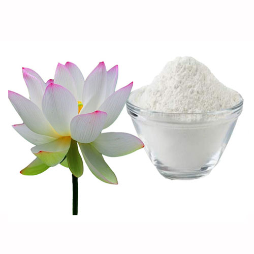 natural lotus powder manufacturer