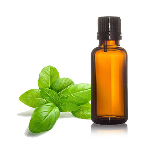 top biggest basil oil products manufacturer & exporter company