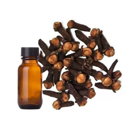 biggest clove oil products exporter company
